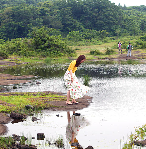 제주 험비로드