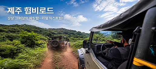 제주 험비