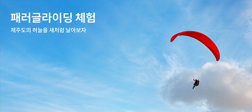 패러글라이딩체험