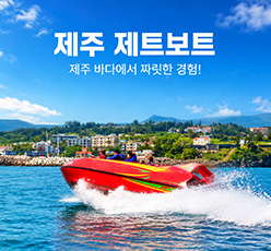 제주 제트보트
