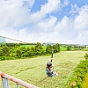 제주도 짚라인 체험