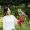 화조원