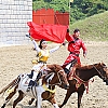 제주 마상공연 (더마파크)