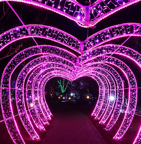 서프라이즈 테마파크