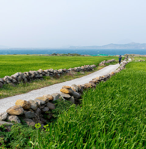 가파도 정기여객선