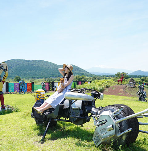 서프라이즈 테마파크