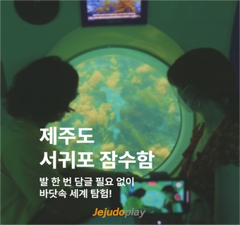 제주도 서귀포 잠수함 투어로 만나는 신비로운 바다 속 생태계 체험