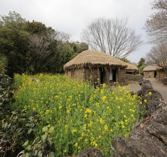 겨울 제주도 여행 추천: 차가운 계절에 만나는 따뜻한 힐링 코스