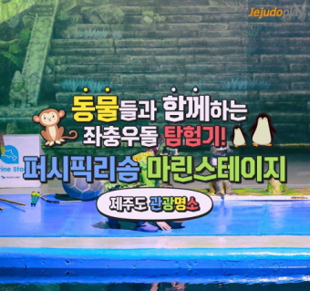 퍼시픽리솜 마린스테이지