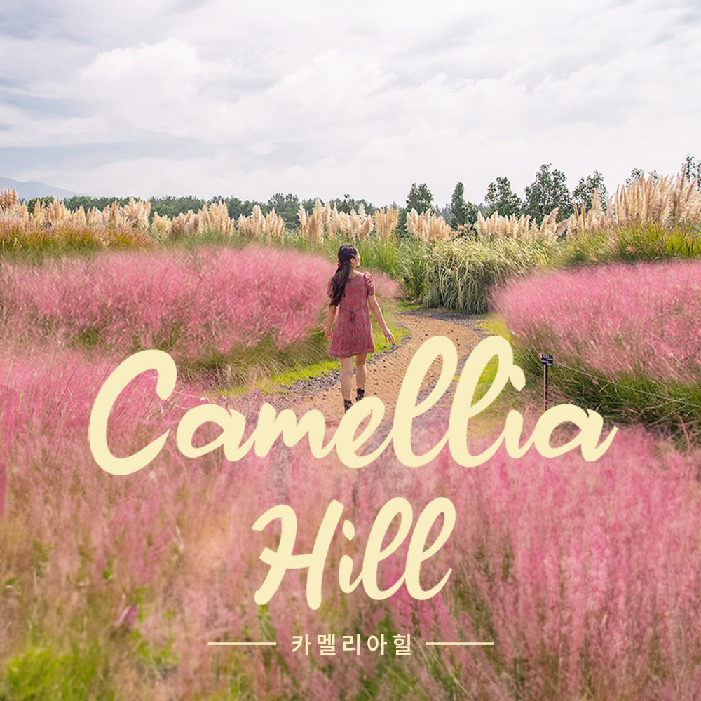 카멜리아 힐(유효기간 ~2025.12.31까지)