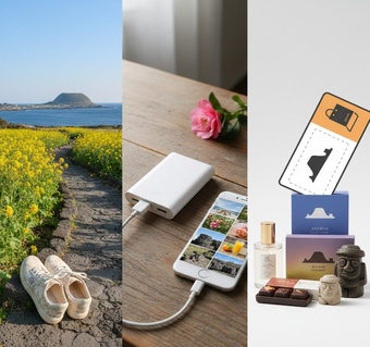 3월 제주도 여행 준비물 완벽 가이드: 꼭 챙겨야 할 필수템과 할인 정보