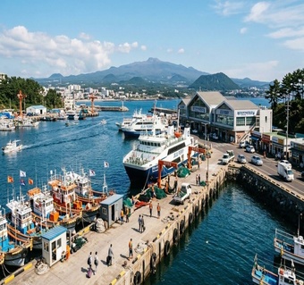 제주부두 이용 가이드: 처음 방문자를 위한 완벽 승선 매뉴얼