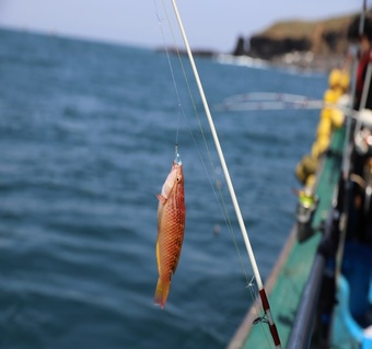 차귀도 배낚시 체험 완전 가이드: 제주 바다에서 만나는 특별한 손맛