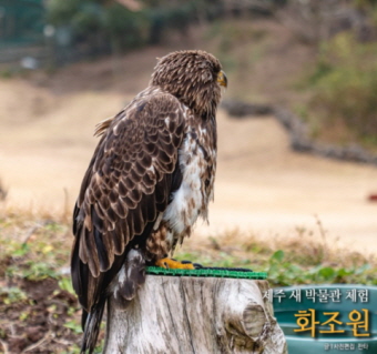 블로거 판타님이 다녀온 화조원 리얼후기