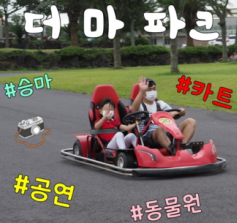 제주 더마파크 리얼후기 4
