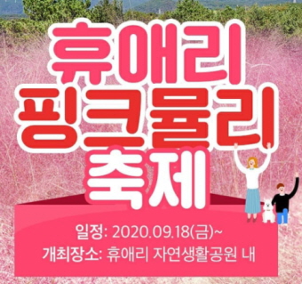 휴애리 핑크뮬리 축제